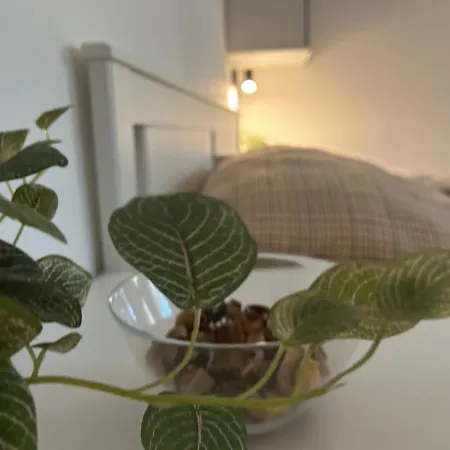 R59 With Free Parking